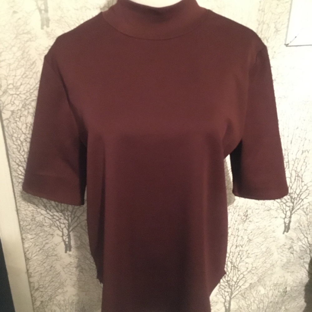 ZARA Mid Sleeve Maroon Top